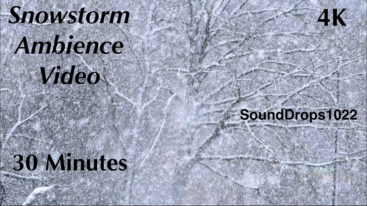 Half-Hour Frosty Retreat: 30 Minutes Snow Ambience