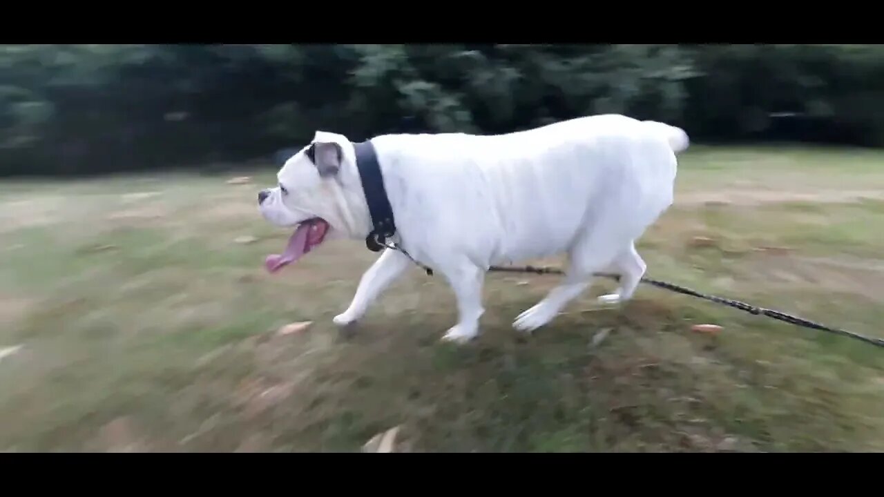 Winnie en Famke in Sneek stadsfenne