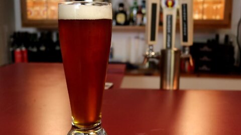 2019 Learn To Homebrew Day Vienna Lager Tasting & Recipe
