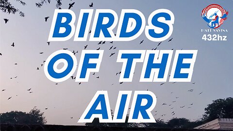 Birds of the Air | Peaceful Piano Instrumental | Matthew 6:26-27 | Relaxing Nature Video 432hz