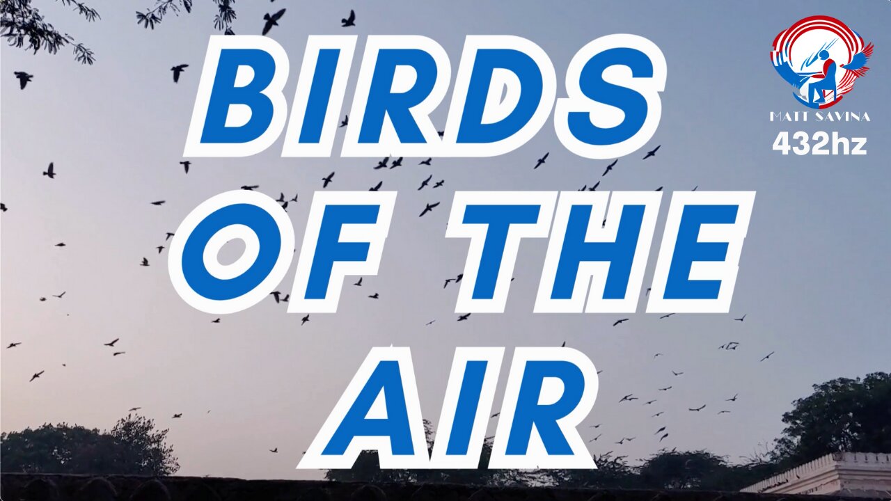 Birds of the Air | Peaceful Piano Instrumental | Matthew 6:26-27 | Relaxing Nature Video 432hz