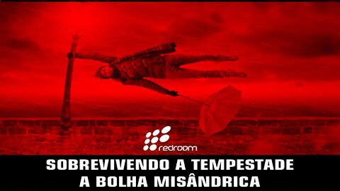 SOBREVIVENDO A TEMPESTADE - A BOLHA MISÂNDRICA