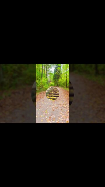 RELAXING MUSIC/DEEP SLEEP MUSIC/autumn ambience music #shorts