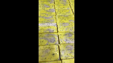 Stamping Lemon Parade soap