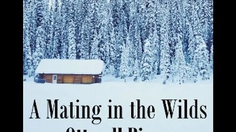 A Mating in the Wilds by Ottwell Binns - Audiobook