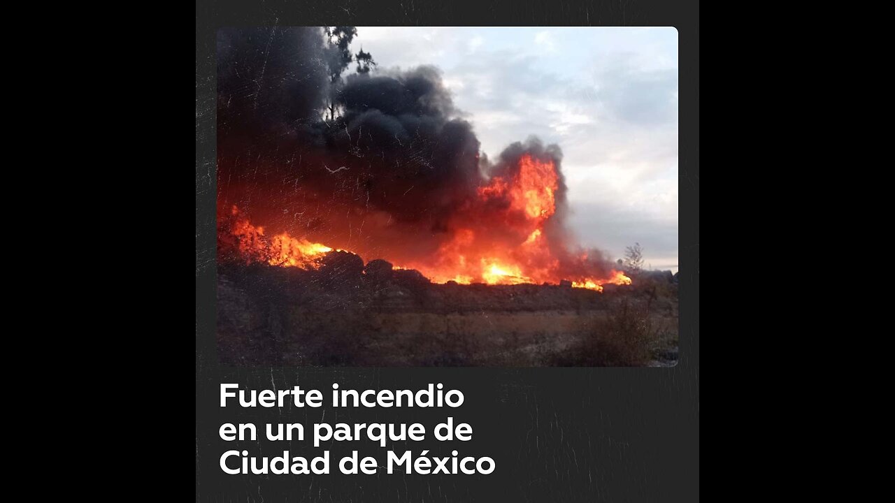 Se registra un fuerte incendio en el interior de un parque de Ciudad de México