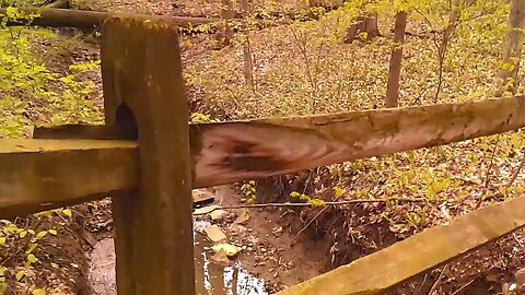 Sundayscape Clips : Inniswood Revisited Pt 1