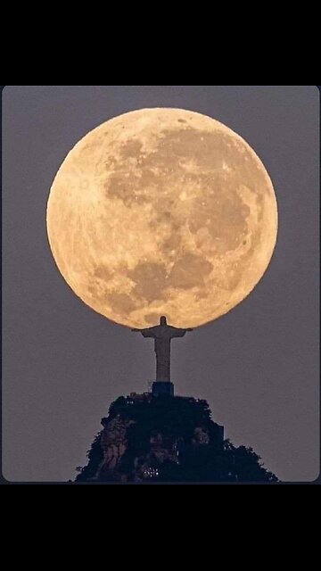 hybrids and Illuminati-Owned McDonalds