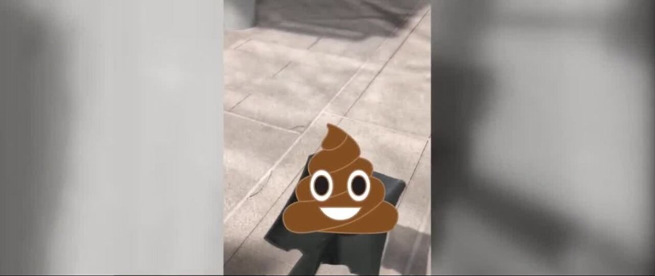 DISGUSTED AND DESPERATE: Lawyer dumps human feces on steps of Las Vegas City Hall