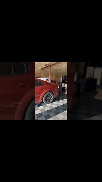 My Neighbors Love Me For This