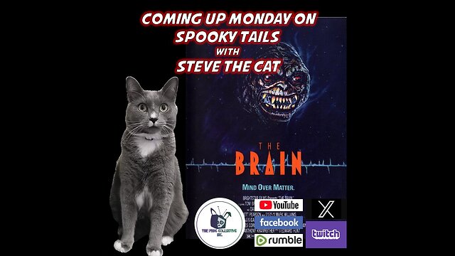 Spooky Tails with Steve the Cat Episode 0702