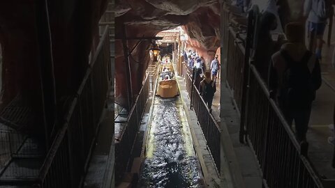 Single Rider Bridge at Splash Mountain Disneyland #shorts #splashmountain