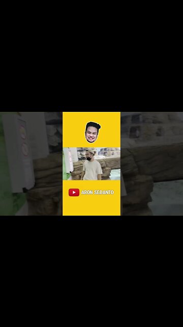 Penguins in XPARK Aquarium in Taiwan🐧🐧 #shorts