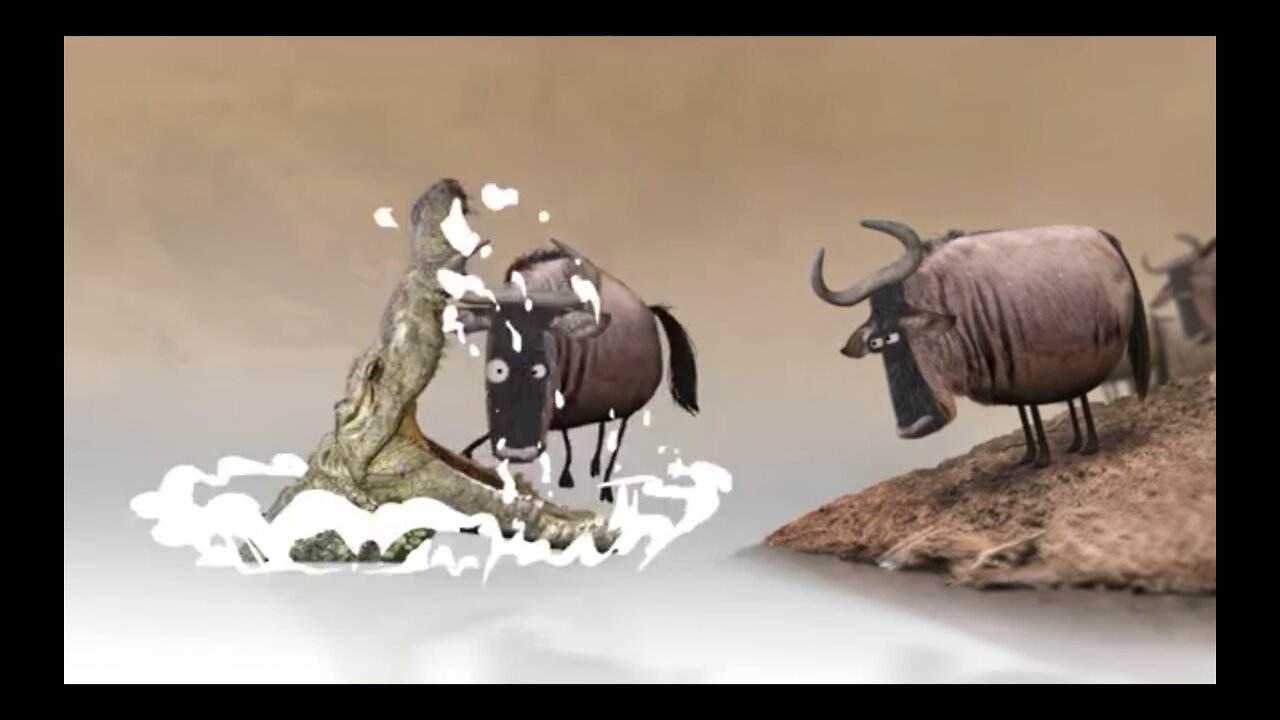 Buffalos vs chrocodile