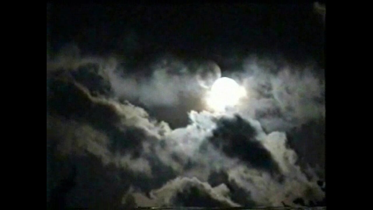 Last-Studio, Video-N.28 (2001)