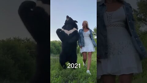#shorts Смешные животные из Тик Ток 21 Funny animals from Tik Tok