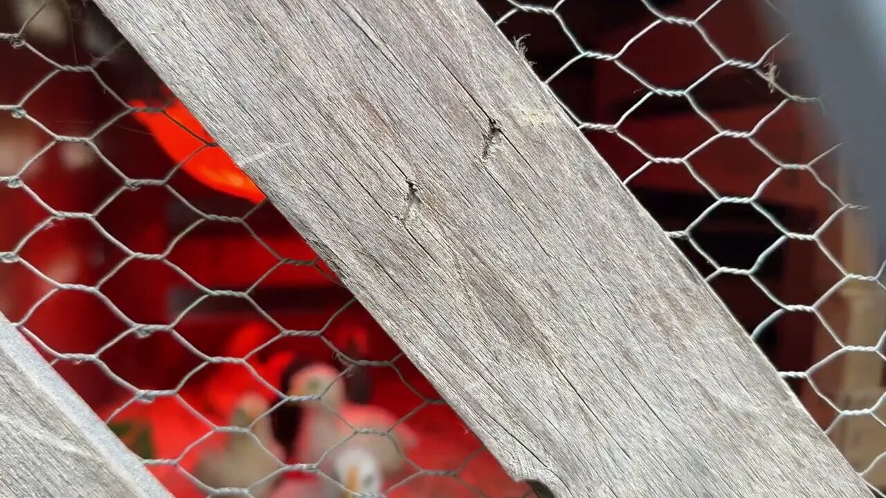 Italy Update. Found the Biodome... Wait until the end.