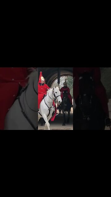 The kings guards white horse #horseguardsparade
