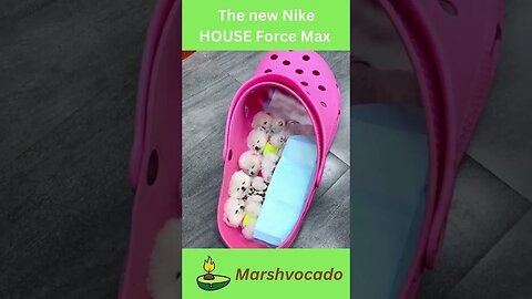 Cute dogs in a shoe #shorts #dog #dogsoftiktok #puppy #dogstagram #marshvocado #dogloverforever #fyp