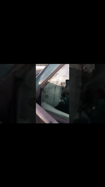 it's the motherfuking dowg!