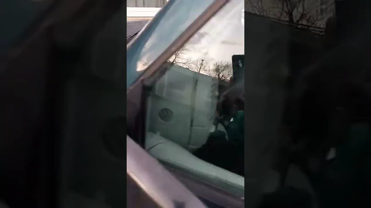 it's the motherfuking dowg!