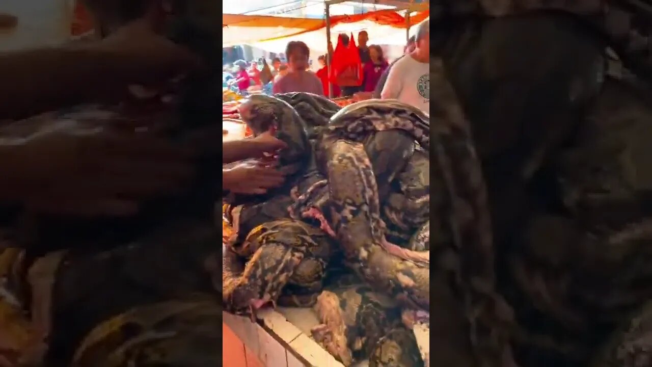 Amazing and Trending videos on YouTube 2022