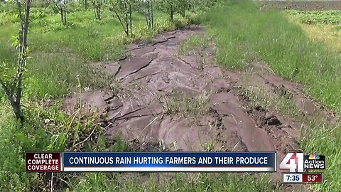 Rain hitting small U-Pick famers as well as big farms