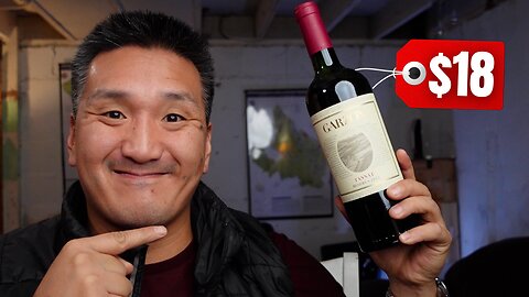 Thanksgiving WINE | 9 Bottles on a BUDGET!!!