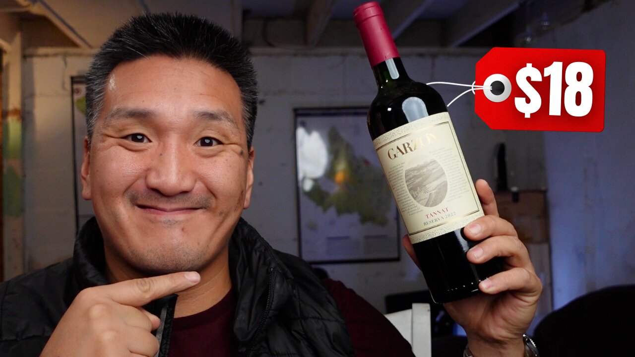 Thanksgiving WINE | 9 Bottles on a BUDGET!!!