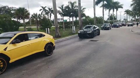 EXOTIC CARS