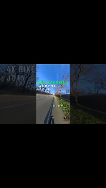 COMANA Forest winter ride, Giurgiu | #shorts #short | 🇷🇴