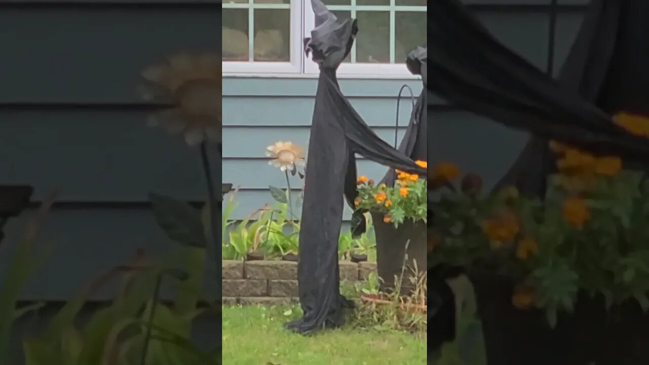 Halloween is coming #shorts