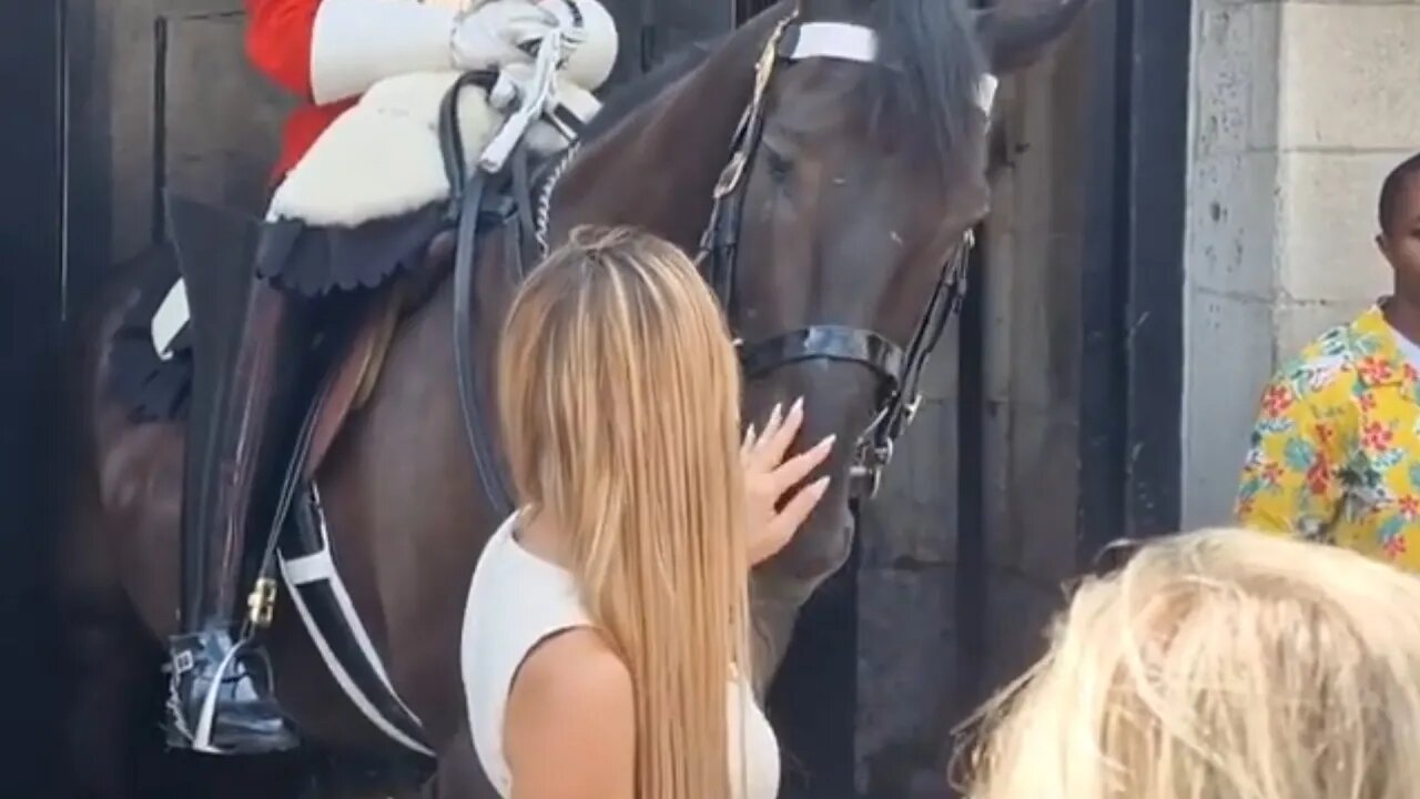 With the length of her finger nails the horse was hesitant to stroked #horseguardsparade