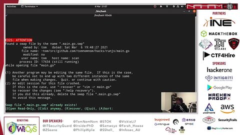 Using Chromedp to Hunt for Prototype Pollution @TomNomNom