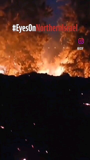 Would you be willing to live like this every day?