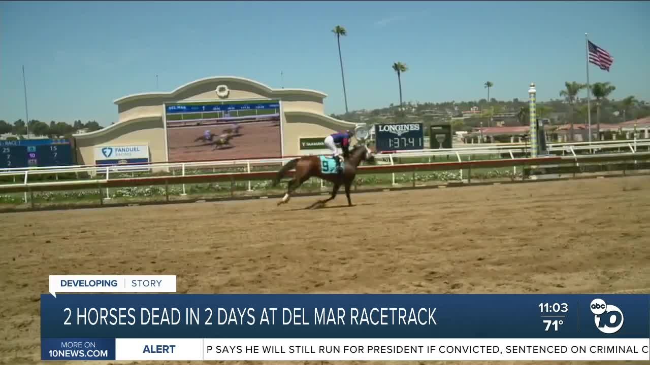 2 horses die at Del Mar Racetrack, first deaths of summer racing season