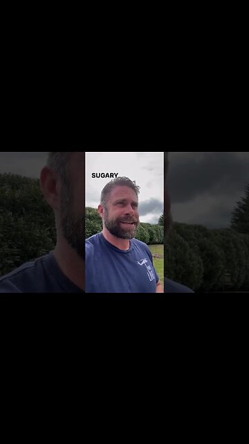 “I’m offended” is not an argument.