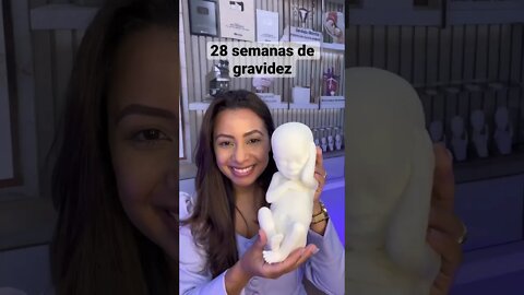 Maquete do tamanho real do bebê com 28 semanas de gravidez