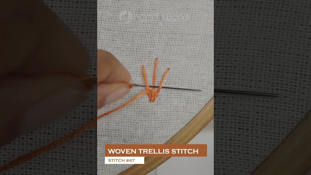 #47 Woven trellis stitch