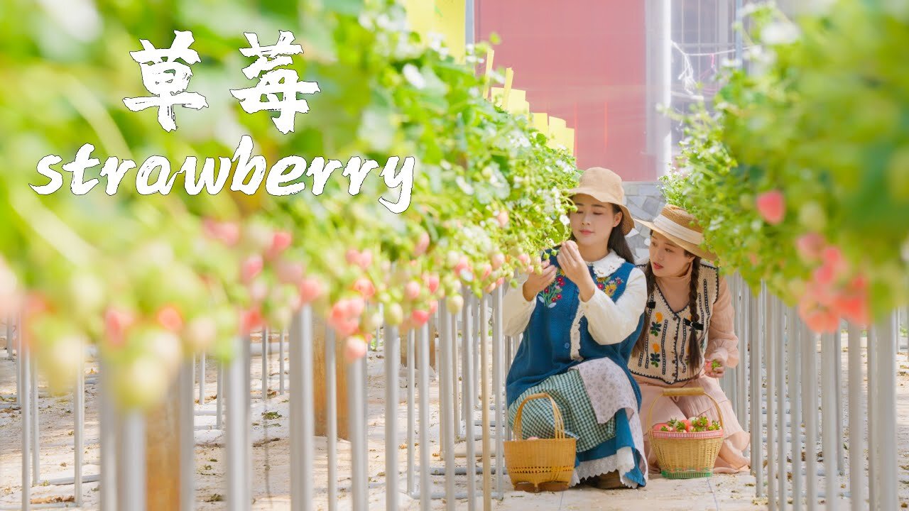 One Fruit for a Table: Colorful Strawberries in Colorful Yunnan: Which One Is Your Favorite?