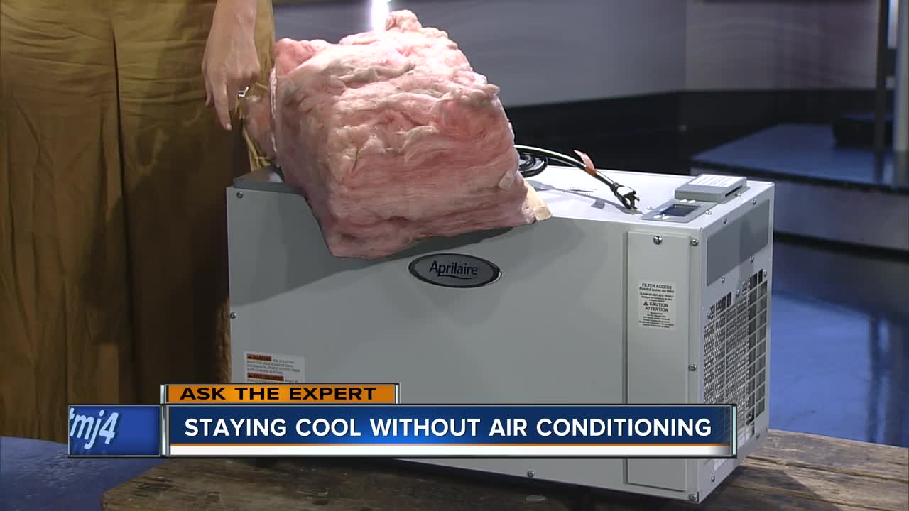 Ask the Expert: Staying cool without air conditioning