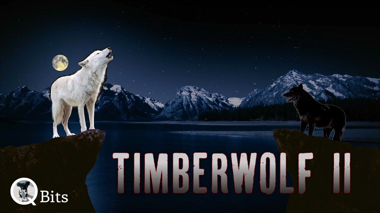 #562 // TIMBERWOLF II - LIVE