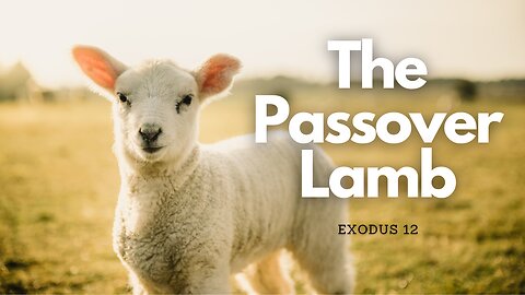 "The Passover Lamb"