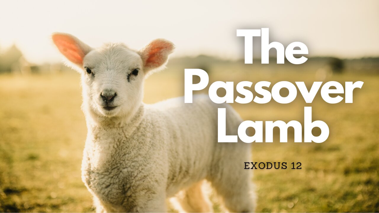 "The Passover Lamb"