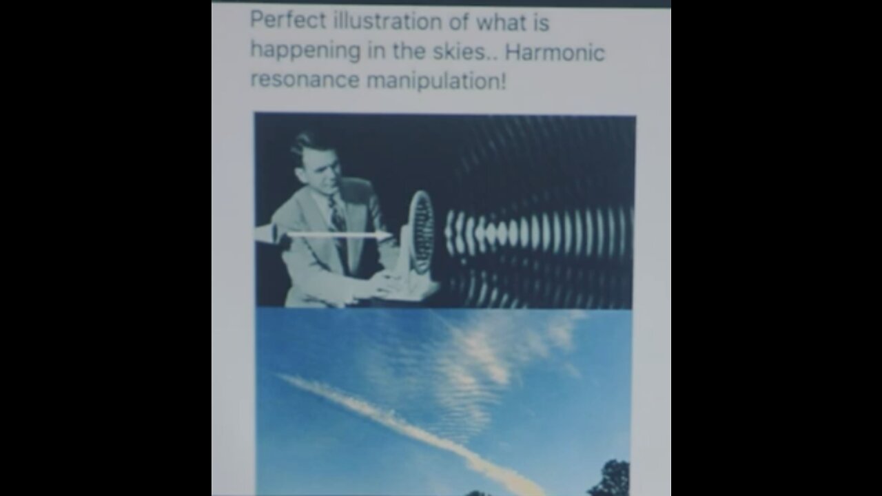 Targeted individuals (2020) Elana Freeland