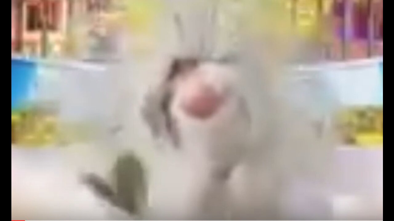 m14 pertty good gun mission 1 part 1 ngbc combat