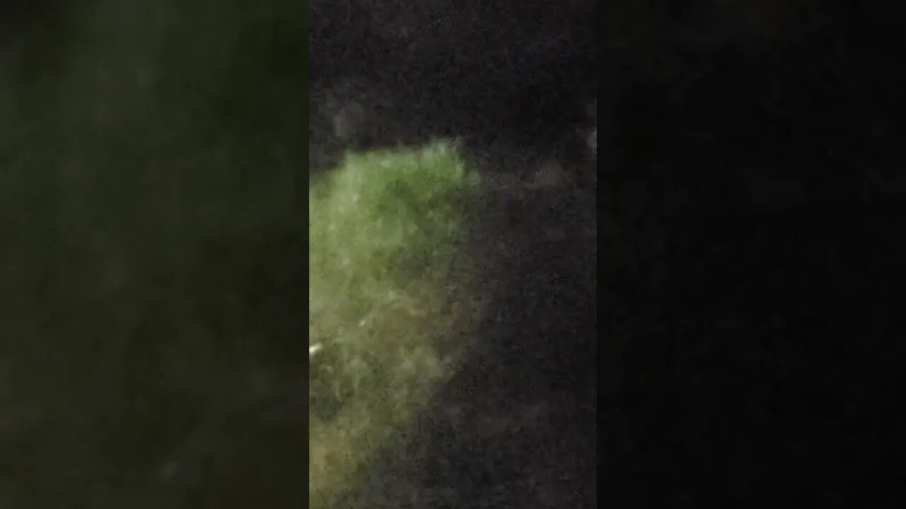 Weird, stuff in the AZ sky