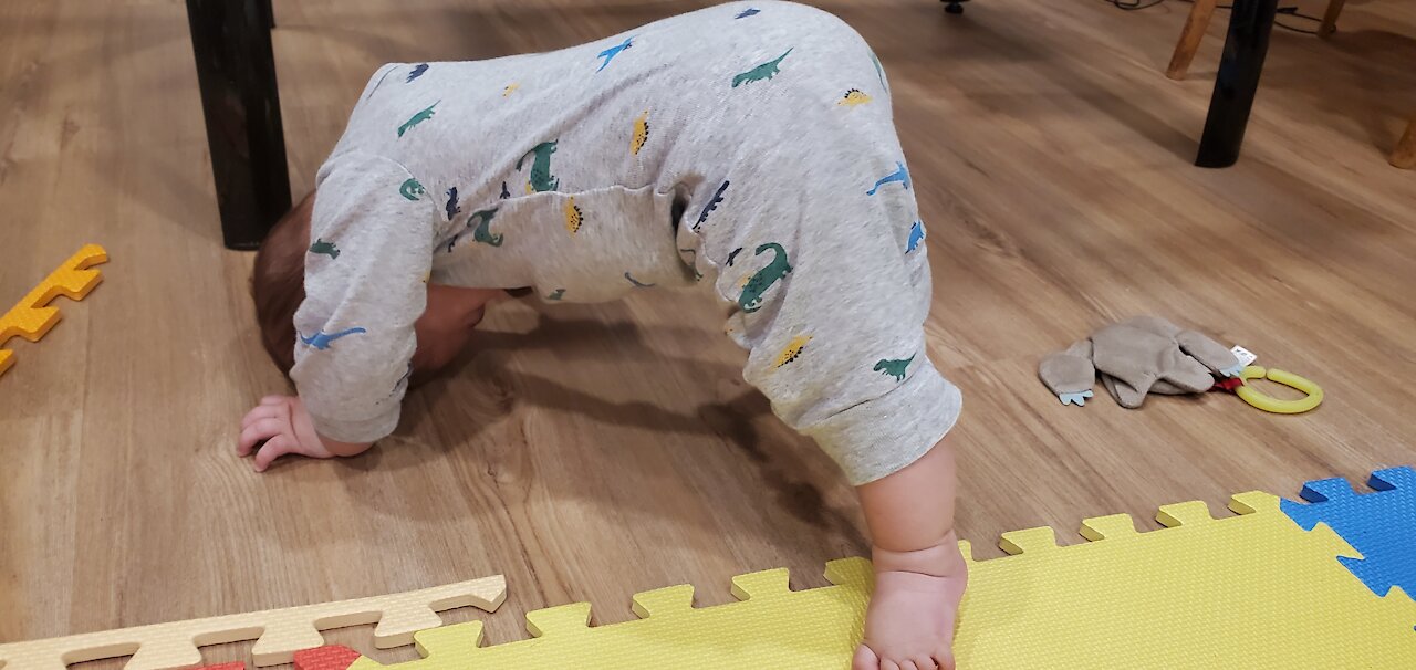 Crawling Progression from 5-7 Month Old