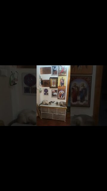 Small victories.. eating together again