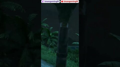 Wasn't Paying Attention